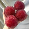 Slushy Bayberry Fidget Toy